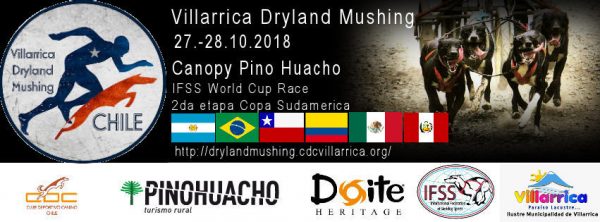 Dryland Mushing Villarrica
